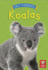 Koalas Format: Library Bound