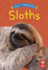 Sloths Format: Library Bound