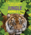 The Most Colorful (and Stripey) Jungle Animals Ever Format: Library Bound