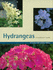 Hydrangeas: a Gardeners Guide