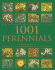 1001 Perennials