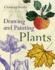 Drawing and Painting Plants