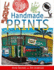 Handmade Prints: an Introduction to Creative Printmaking Without a Press. Anne Desmet & Jim Anderson