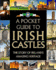 A Pocket Guide to Irish Castles: the Story of Ireland's Amazing Heritage