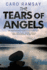 The Tears of Angels: a Scottish Police Procedural: 6 (an Anderson & Costello Mystery)