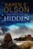 Hidden: First in a New Mystery Series (a Black Hat Thriller)