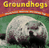 Groundhogs: Woodchucks, Marmots, and Whistle Pigs