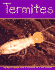 Termites (Pebble Books)