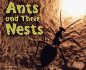 Ants and Their Nests