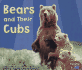 Bears and Their Cubs (Animal Offspring)