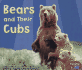 Bears and Their Cubs