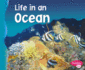 Library Book: Life in an Ocean (Rise and Shine)