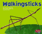 Walkingsticks