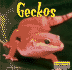 Geckos