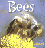 Bees