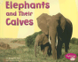 Elephants and Their Calves