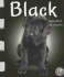 Black: Seeing Black All Around Us (Colors)