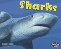 Sharks (Pebble Plus: Under the Sea)