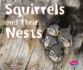 Squirrels and Their Nests