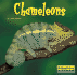 Chameleons (Bridgestone Books, World of Reptiles)