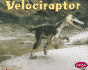 Velociraptor / Velociraptor (Dinosaurios Y Animales Prehist=Ricos / Dinosaurs and Prehistoric Animals Series) (Dinosaurios Y Animales...Prehistoric Animals) (Multilingual Edition)