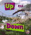 Up and Down