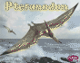 Pteranodon (Dinosaurs and Prehistoric Animals)
