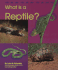 What is a Reptile?