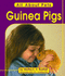 Guinea Pigs