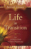 Life in Transition: an Intuitive Path to New Beginnings