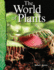 The World of Plants