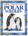 Polar Wildlife (Usborne World Wildlife)