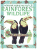 Rainforest Wildlife (Usborne World Wildlife)
