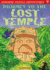 Journey to the Lost Temple (Usborne Young Puzzle Adventures)