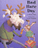 Bad Hare Day