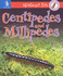 Millipedes and Centipedes (Minibeast Pets)