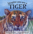 Imagine You Are a Tiger