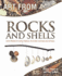 Rocks and Shells (Art From)