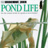 Pond Life (Look Closer)