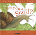 Are You a Snail? (Up the Garden Path)