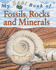 My Best Book of Fossils, Rocks and Minerals (My Best Book of...)