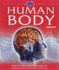 Human Body Close Up