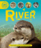 Life Cycles: River