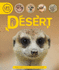Life Cycles: Desert (Life Cycles, 25)