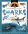 Explore and Discover: Sharks (Question Time)