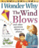 I Wonder Why the Wind Blows: and Other Questions About Our Planet