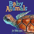 Baby Animals in the Sea