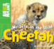 My Life in the Wild: Cheetah: Cheetah (Animal Planet)