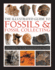 The Illustrated Guide to Fossils & Fossil Collecting: a Visual Encyclopedia of Over 375 Plant and Animal Fossils From Around the Globe and How to Identify Them, With Over 950 Photographs and Artworks
