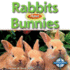 Rabbits Have Bunnies